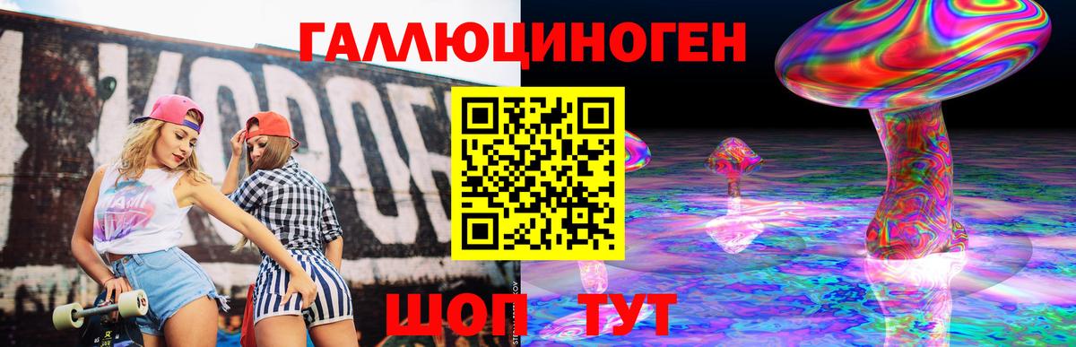 Псилоцибиновые грибы Psilocybine cubensis Фролово