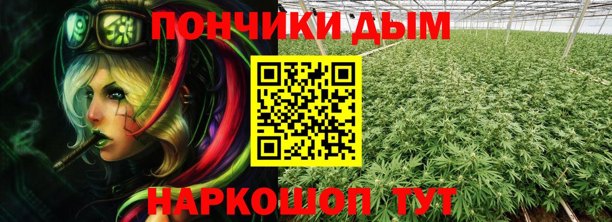 Бошки марихуана THC 21% Фролово
